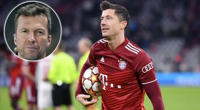 细观本次熊 细观本次熊