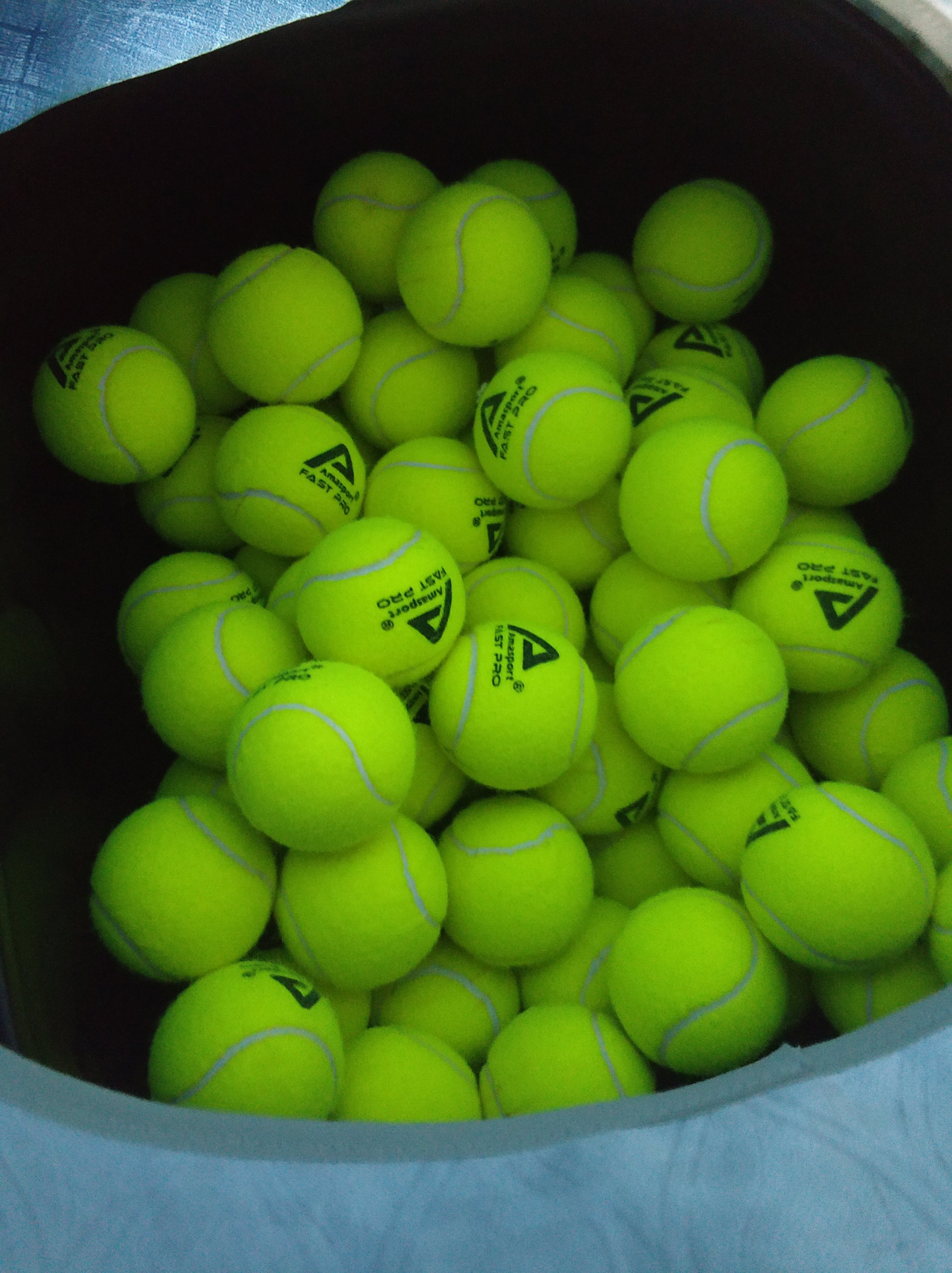 快船和太阳 快船和太阳